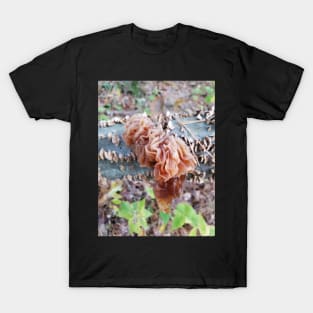 Wood Ear Mushroom T-Shirt